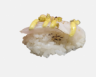 87. NIGIRI SUZUKI SCOTTATO 2PZ