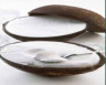 COCCO RIPIENO