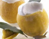 LIMONE RIPIENO